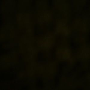 Meet your Posher, Joyce